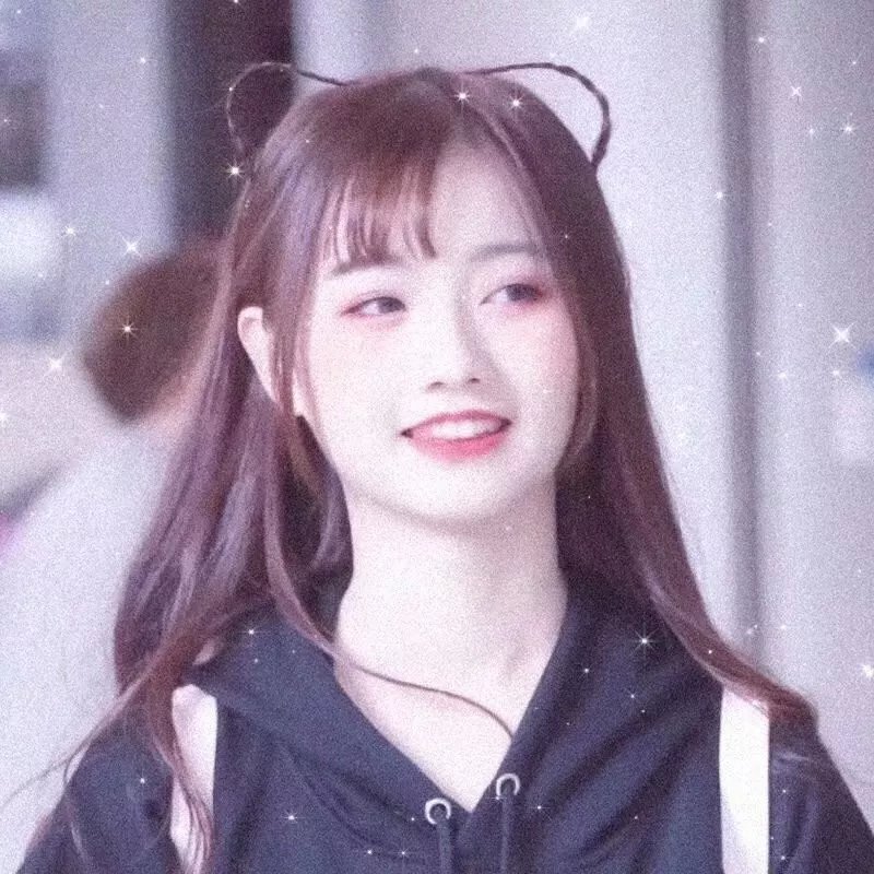 彩岛人生